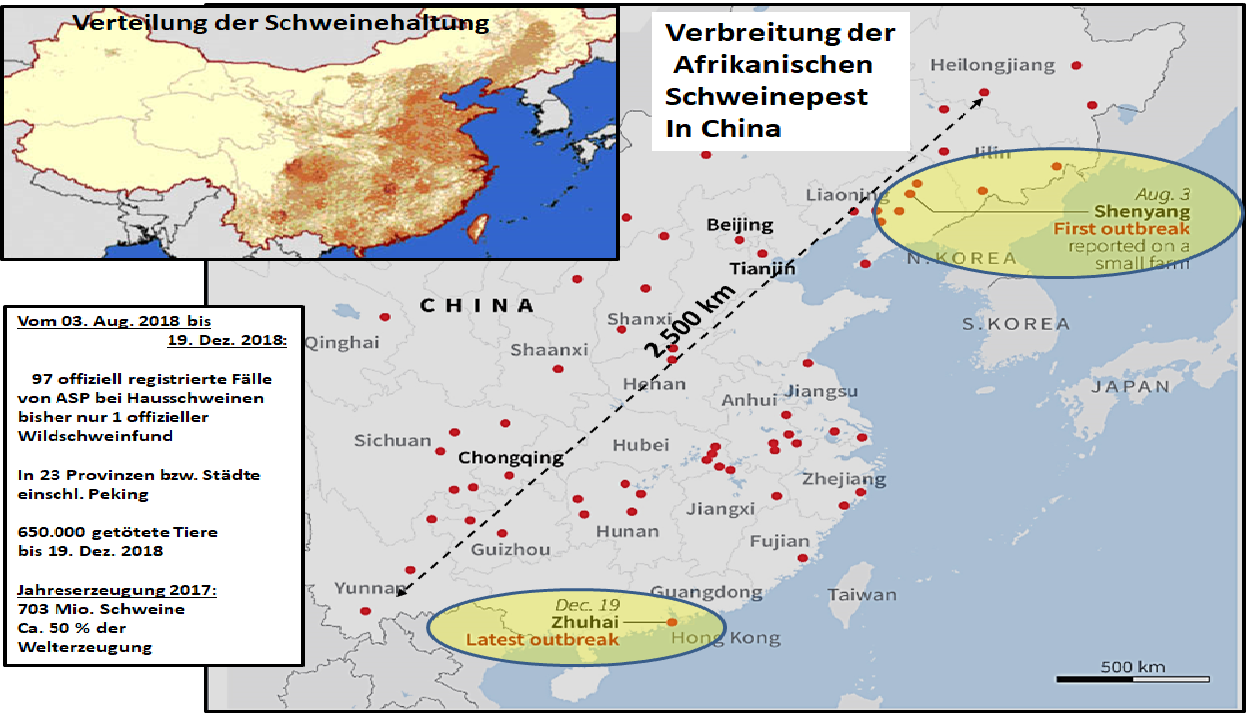 Asp In China Hat Bedeutung Fur Den Globalen Schweinefleischmarkt Zmp Market Analysis Zmp Live